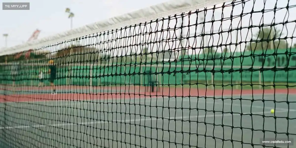 行业领先的理由